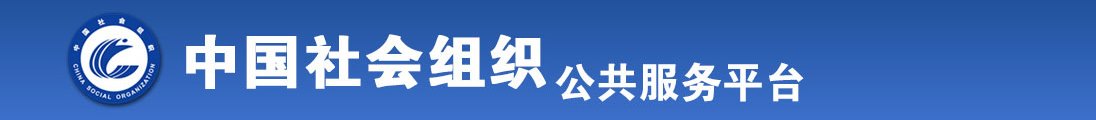 艹骚孕妇全国社会组织信息查询